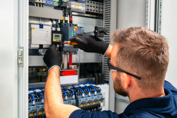 Best Electric Panel Repair  in Hampton, TN